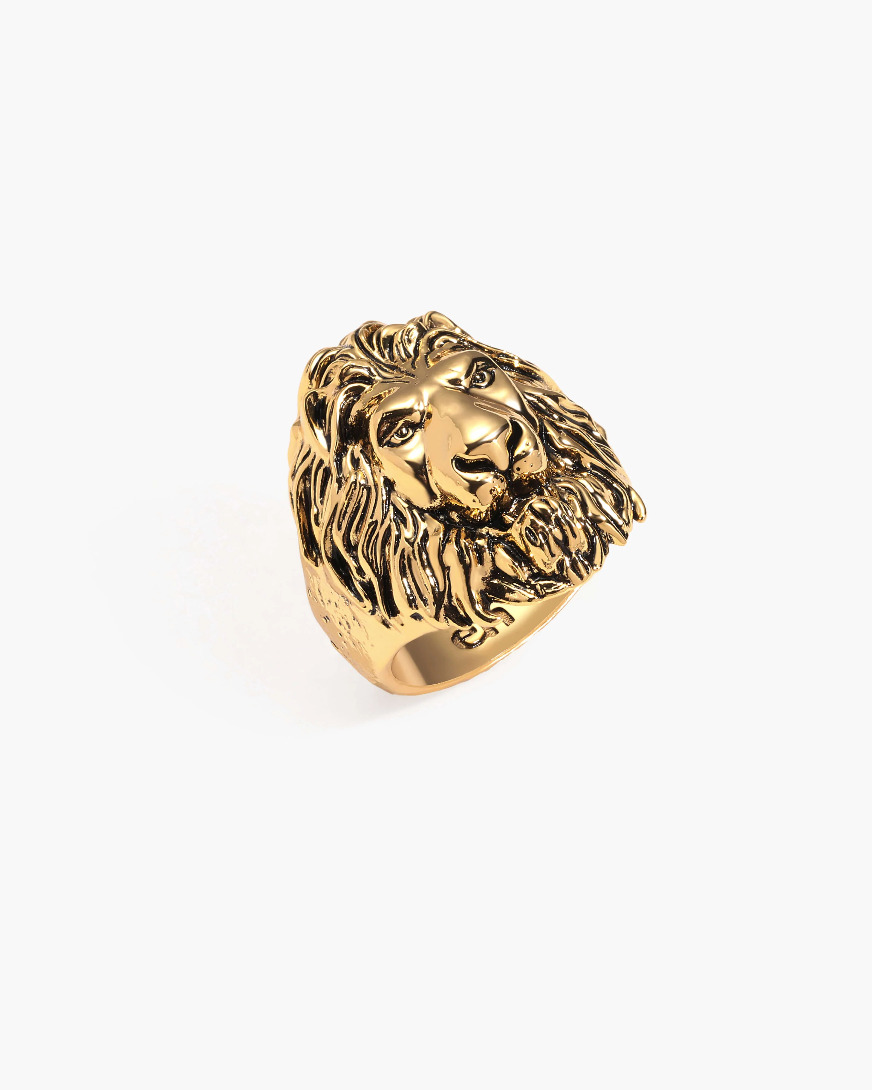 Lion Guard Ring - Image 3