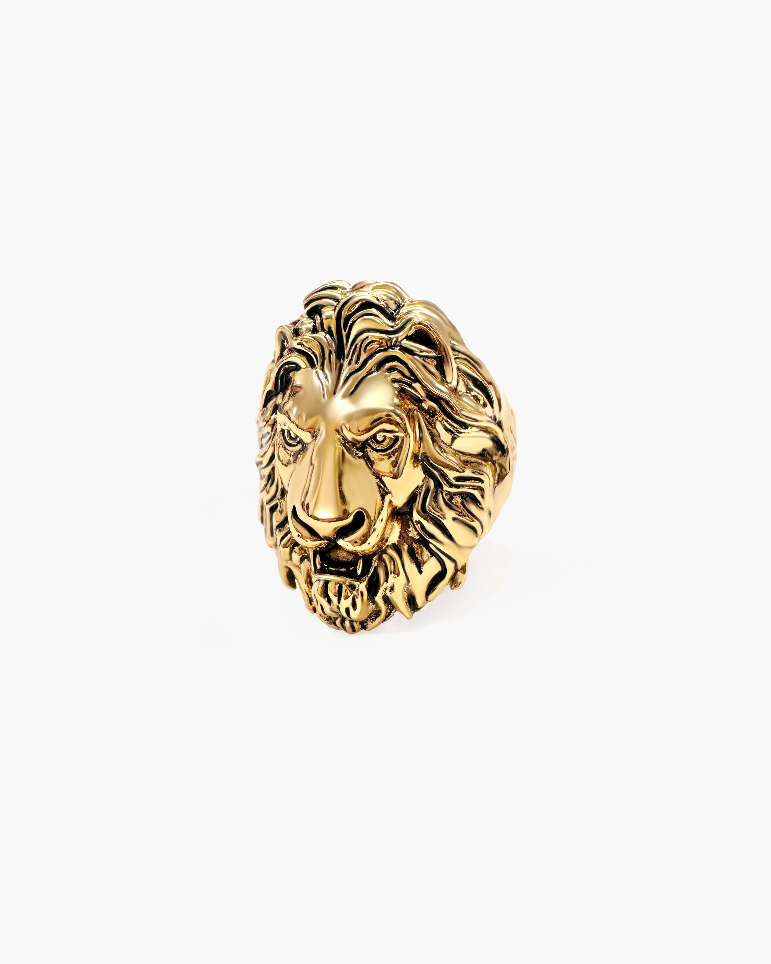 Lion Guard Ring in Silver - Image 5