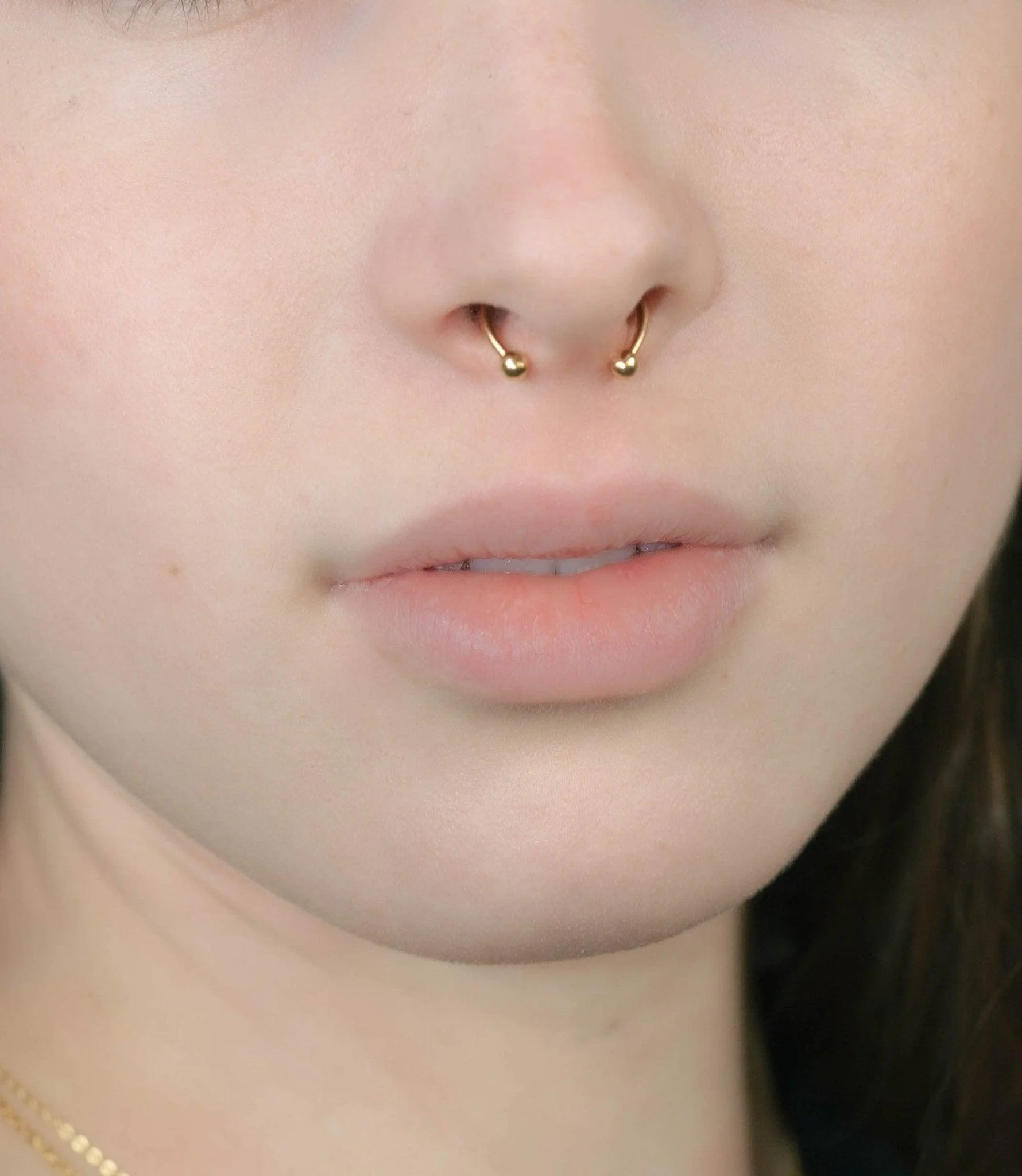 Magnetic Septum Ring - Image 3