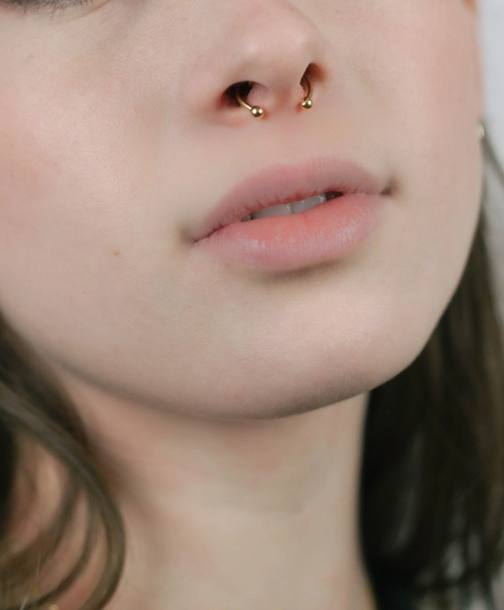 Magnetic Septum Ring - Image 4